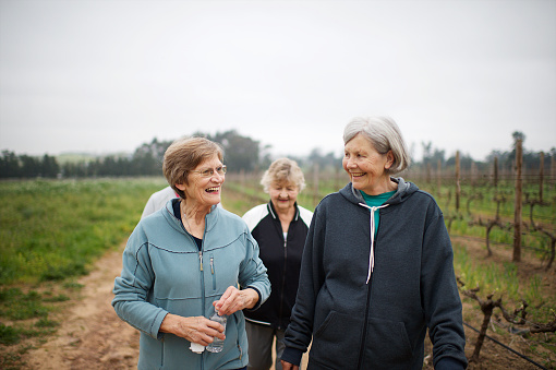 Four Active seniors women walking for exercise outdoors talking together on a misty morning in Stellenbosch South Africa