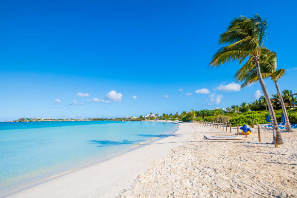 istock Turks and Caicos, Providenciales - Sapodilla Bay 1173354469
