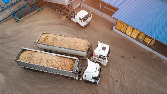 trucks with potatoes at the potato processing factory top view