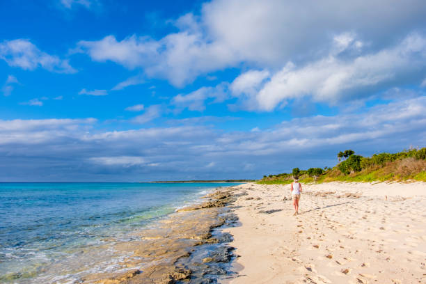 istock Turks and Caicos, Providenciales - Malcolm’s Road Beach 1173355989