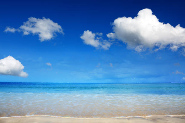 Blue sky and caribbean sea . Summer travel background.