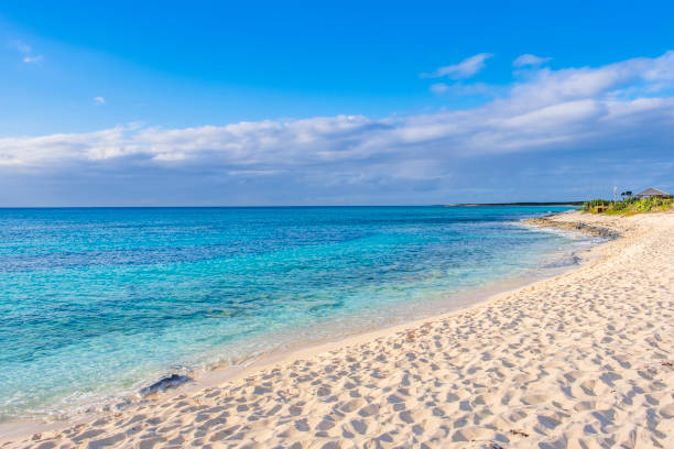 istock Turks and Caicos, Providenciales - Malcolm’s Road Beach 1173357180