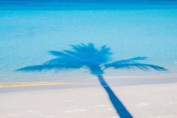 istock Turks and Caicos, Providenciales - Sapodilla Bay 1173357286