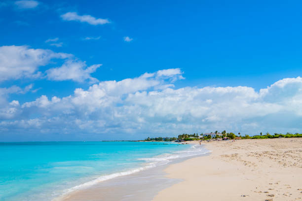istock Turks and Caicos, Providenciales - Leeward Beach 1173357323