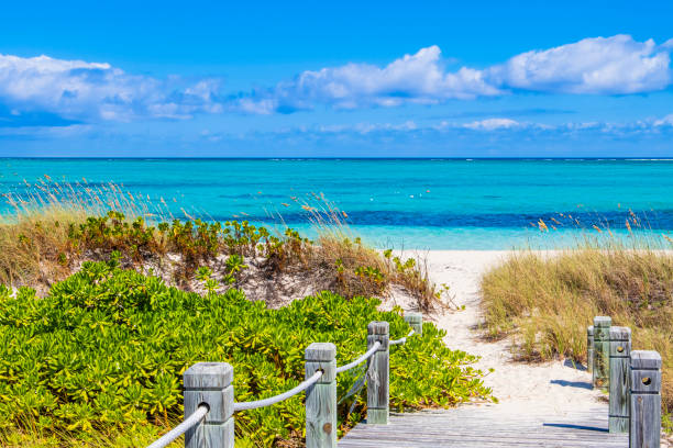 Turks and Caicos, Providenciales - walkway to Bight Beach Turks & Caicos turks and caicos islands caicos islands bahamas island stock pictures, royalty-free photos & images