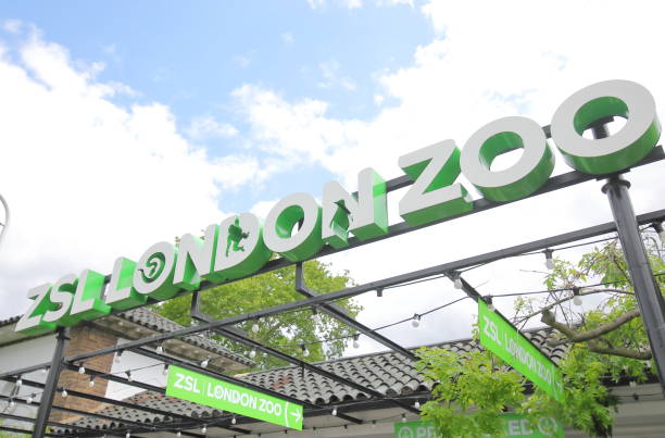 London England - June 3, 2019: ZSL London Zoo London UK