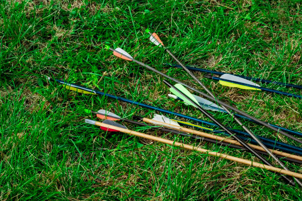 istock arrows for archery lying on the grass 1173359219
