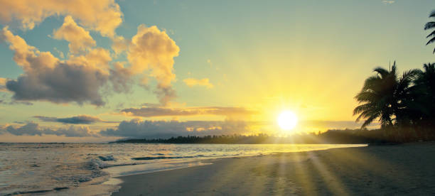 istock Tropical sunrise with coconut palm trees. 1173359263