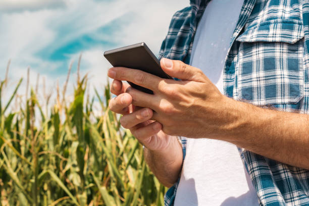 istock Agronomist typing text message on smartphone 1173361982