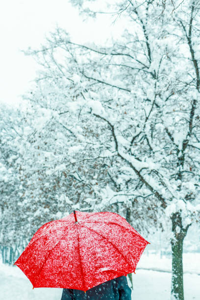 istock Woman under red umbrella in snow 1173362157