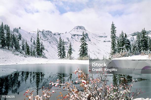 Belleza En La Naturaleza Foto de stock y más banco de imágenes de Parque Nacional de las Cascadas del Norte - Parque Nacional de las Cascadas del Norte, Invierno, Monte Baker