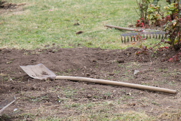 Gardening shovel  lying on the ground stock photo