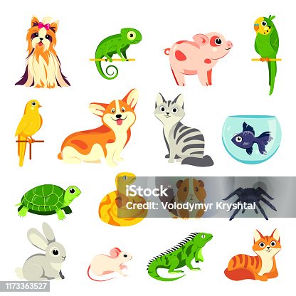 522,549 Domestic Animals Illustrations & Clip Art - iStock | Deworming  domestic animals, Group of domestic animals, Domestic animals icon