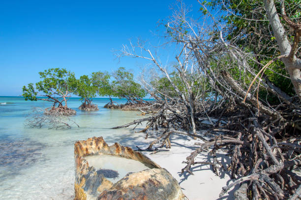 istock Cayo Justias -Cuba 1173363605