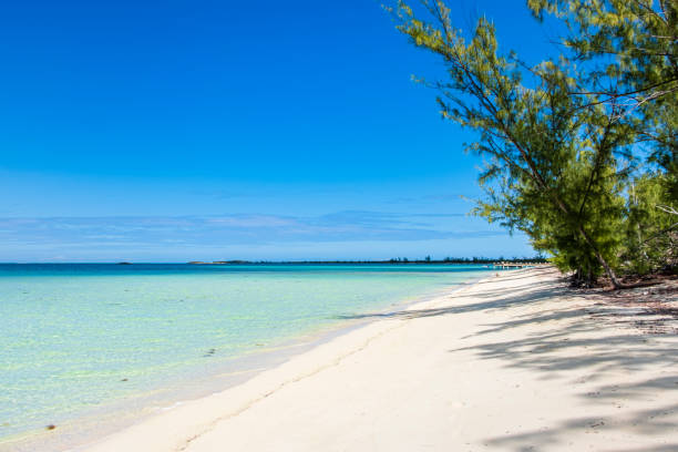 istock Turks and Caicos, Middle Caicos - Bambarra Beach 1173363622