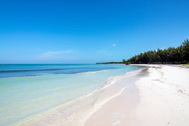 Cayo Jutias - Cuba