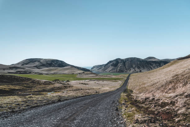 istock Gravel road through Iceland 1173363812