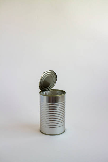 istock a left diagonal view of an empty can standing at the center 1173364453