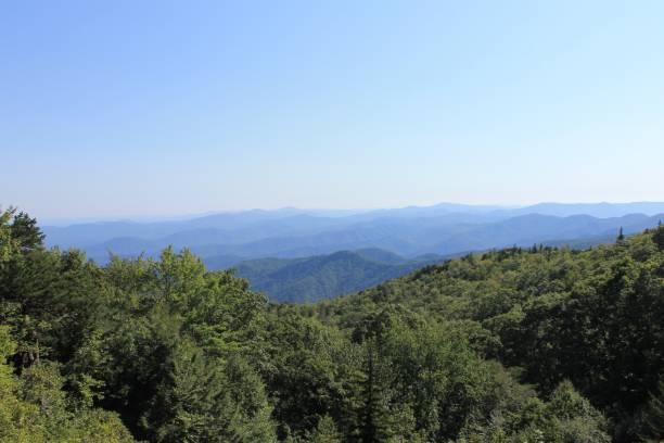 istock Blue Ridge Mountains in the late summer 1173366548