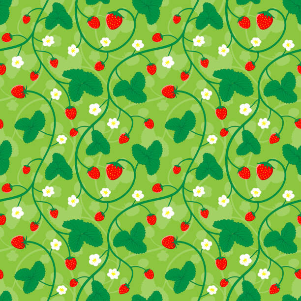 клубничное растение бесшовные картины природы фруктовый фон - strawberry vine pattern plant stock illustrations