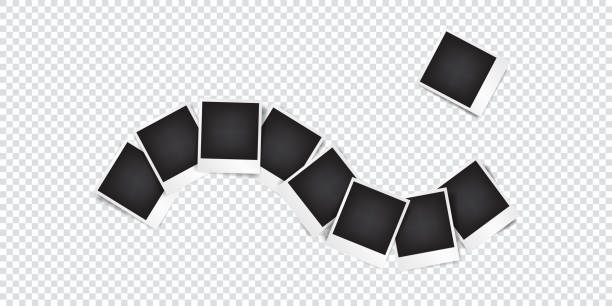 set of empty photo frame with white border and black rectangle element on transparent background. template or mockup decoration for design set of empty photo frame with white border and black rectangle element on transparent background. template or mockup decoration for design polaroid mockup stock illustrations