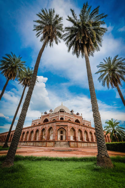 tomba di humayun un monumento mentre è un monumento all'eregata mondiale con palme - new delhi delhi india marble foto e immagini stock