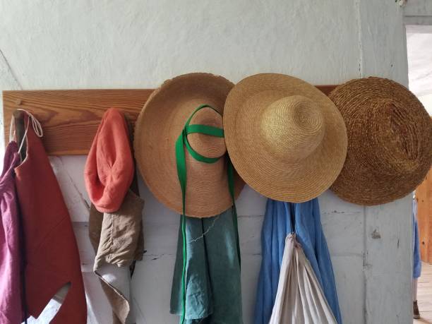 istock straw hats hanging on wood pegs on white wall 1173368260