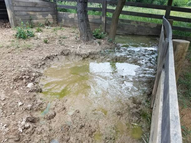 istock wood fence with dirt, mud, and water 1173368319