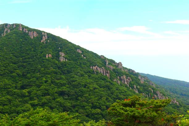 istock Hallasan, Mountain, Mountain, Mountain, Forest, Mountain, Forest, Forest, Azalea, Rock, YoungSil Course, YoungSil Course, 1173368485