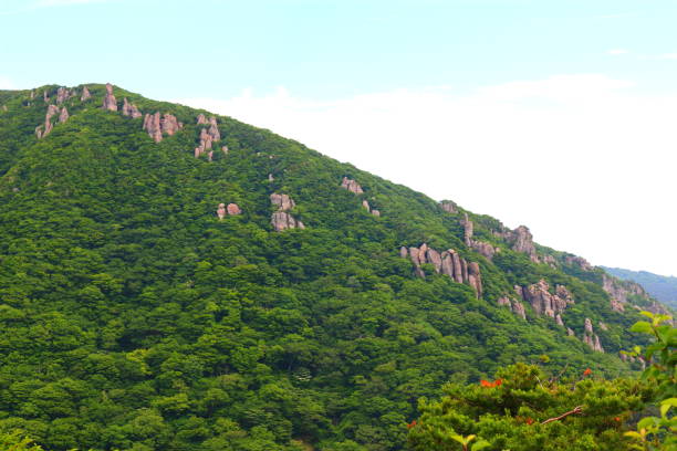 istock Hallasan, Mountain, Mountain, Mountain, Forest, Mountain, Forest, Forest, Azalea, Rock, YoungSil Course, YoungSil Course, 1173368523