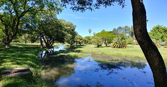 A walk in one of Porto Alegre's largest parks on sunny days contemplating the beautiful nature of the place.