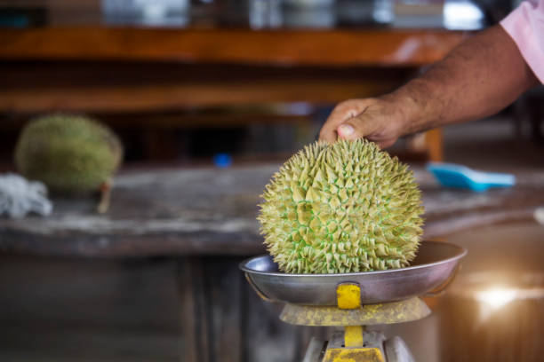 Durian is placed on the scales to determine