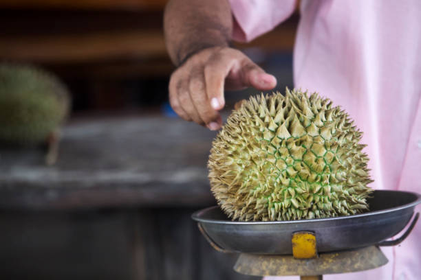 istock Durian is placed on the scales to determine 1173369990