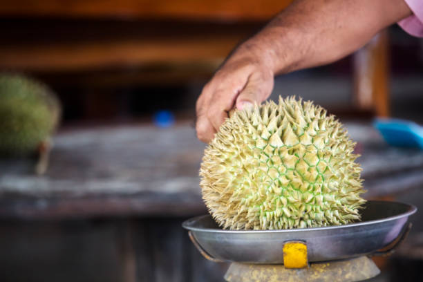 istock Durian is placed on the scales to determine 1173370010