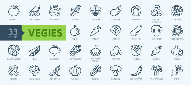 vegetarisch, gemüse, gemüse - minimale dünne linie web-icons sammlung. - spargel stock-grafiken, -clipart, -cartoons und -symbole