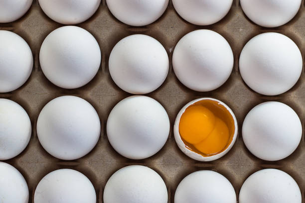 carton d'œufs blancs avec un jaune d'œuf cassé deux - two eggs photos et images de collection