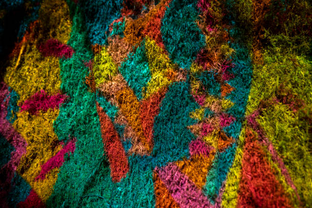 istock Wonderland at Montgomery Woods 1173371485