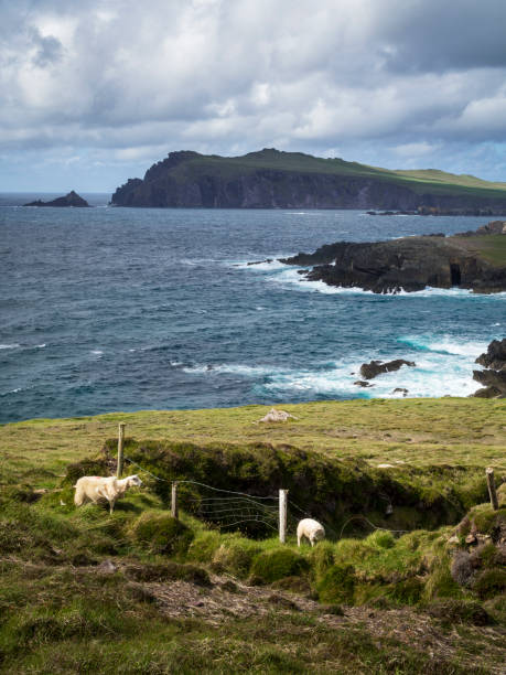 istock At Clougher Head on Irelands west coast 1173371542