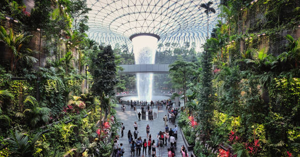The Rain Vortex at Jewel, Changi Airport, Singapore Jewel Changi Airport, Singapore - 5th August, 2019: Visitors tour around the Rain Vortex inside the Jewel area at Changi Airport. It's the world's tallest waterfall at 130 ft in height and surrounded by a four-storey terraced forest. The Jewel complex and waterfall was designed by Moshe Safdie. singapore photos stock pictures, royalty-free photos & images