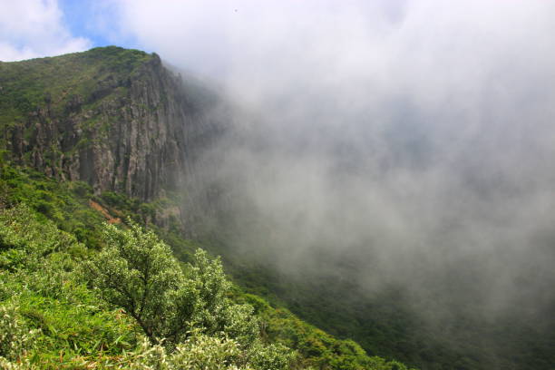 istock Hallasan, Mountain, Mountain, Mountain, Forest, Mountain, Forest, Forest, Azalea, Rock, YoungSil Course, YoungSil Course, 1173371596