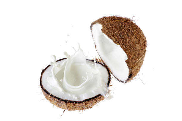 istock Coconut broken in half. A splash of coconut milk. 1173372602