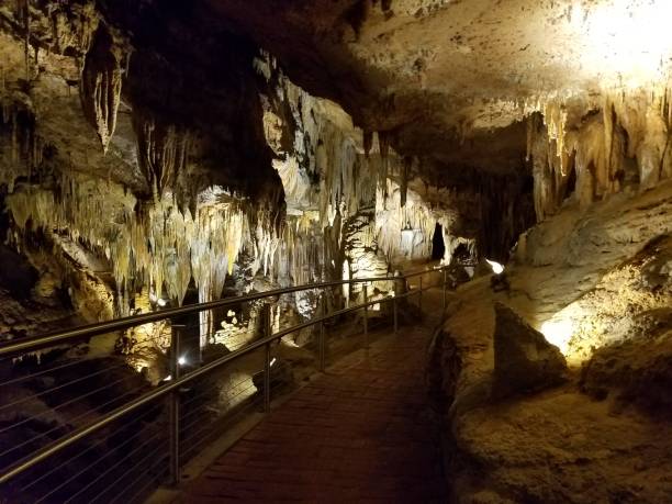 istock brown stalactites and stalagmites in cave or cavern 1173373069