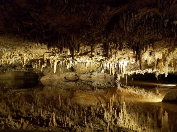 istock brown stalactites and stalagmites in cave or cavern with water 1173373104