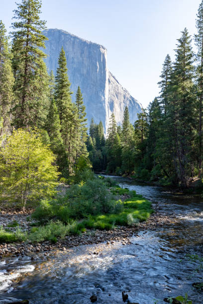 istock Yosemite National Park 1173375938