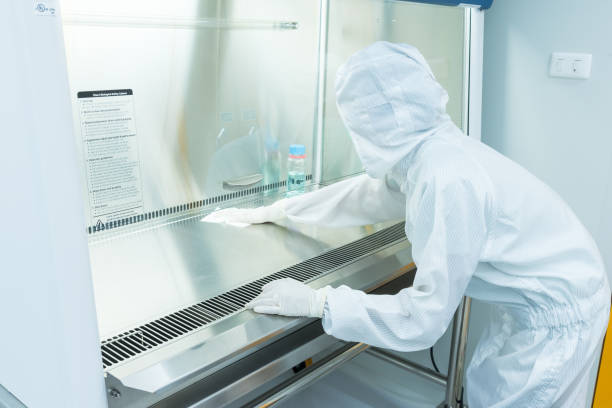 A scientist in sterile coverall gown using alcohol 70% and cleanroom wiper for cleaning Biological Safety Cabinet (BSC) stock photo