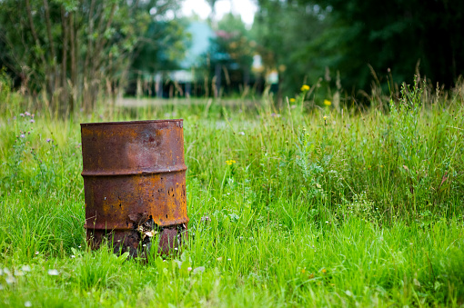 old rusty barrel with holes stands in bright grass against a background of greenery in defocus