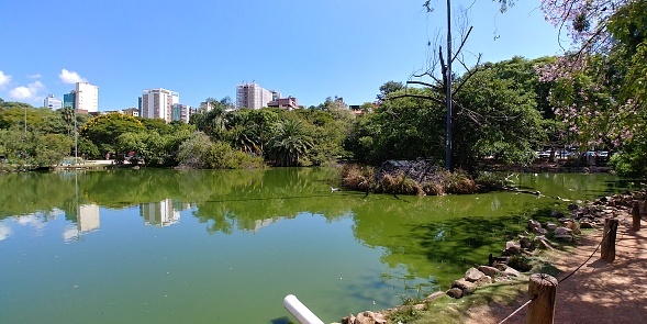 The Moinhos de Vento park is popularly known in Porto Alegre as Parcão, a large green area that has a lake with animals and a lot of natural beauty.