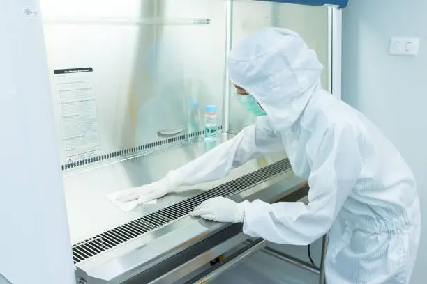 A scientist in sterile coverall gown using alcohol 70% and cleanroom wiper for cleaning Biological Safety Cabinet (BSC). Decontamination before and after using BSC. Cleanroom facility.