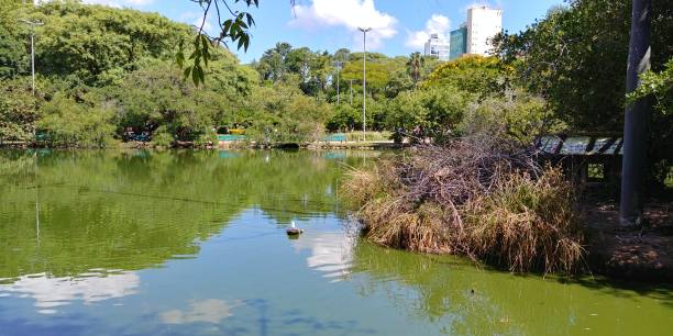 istock Windmill Park (Parcão), in Porto Alegre, Brazil. 1173377004