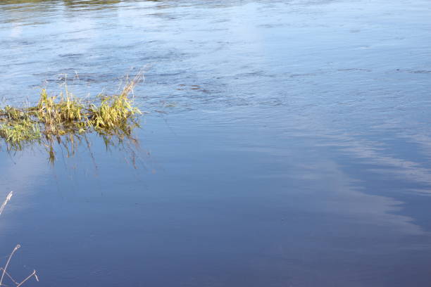 istock reflection of the blue sky in a deep river 1173378386